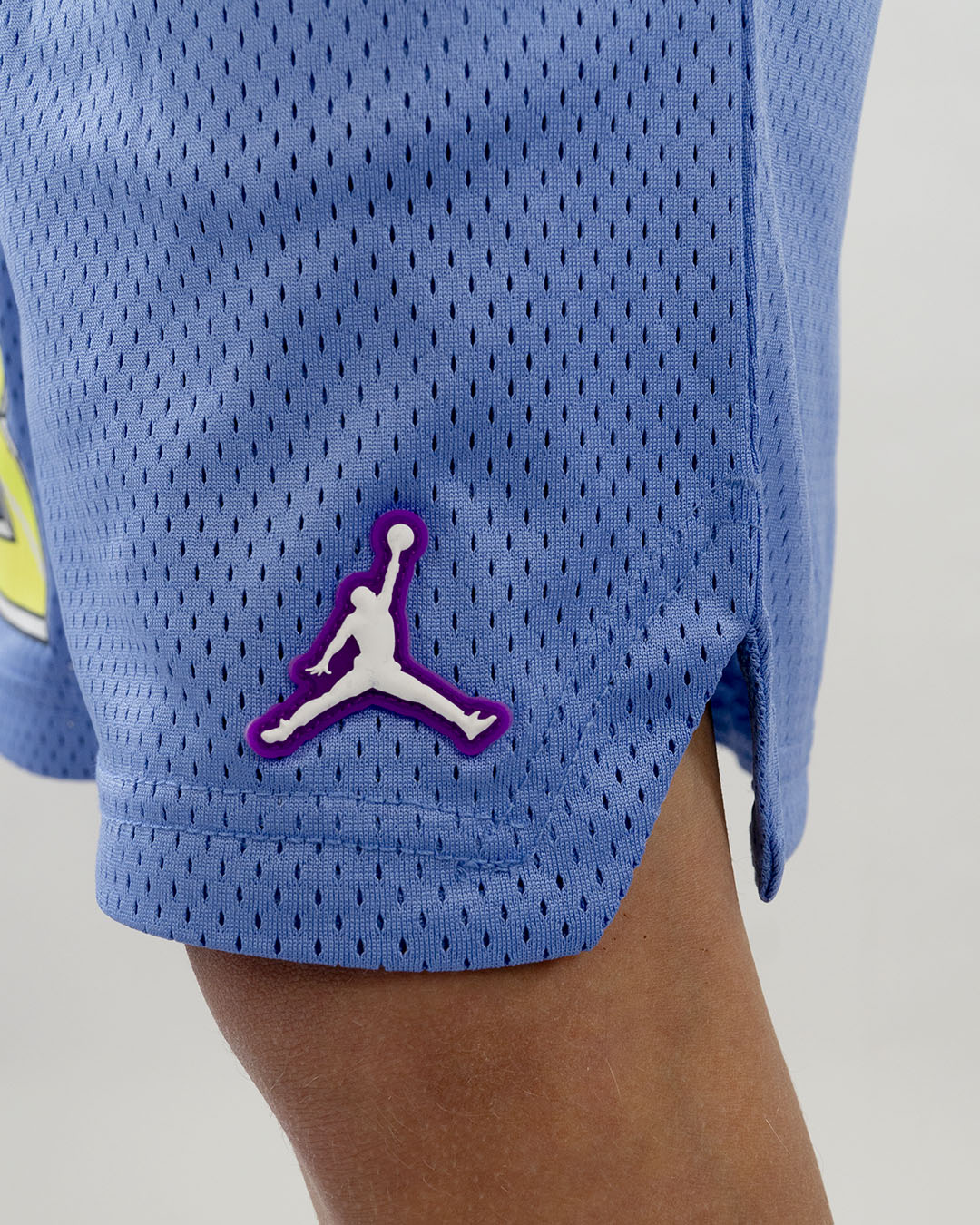 Pantaloncini tipo basket con logo infuocato JORDAN