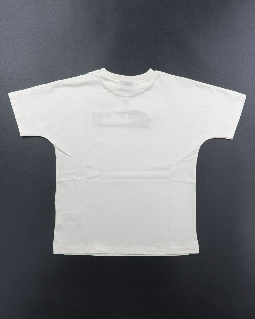 T-shirt manica corta scritta sul petto DISCLAIMER