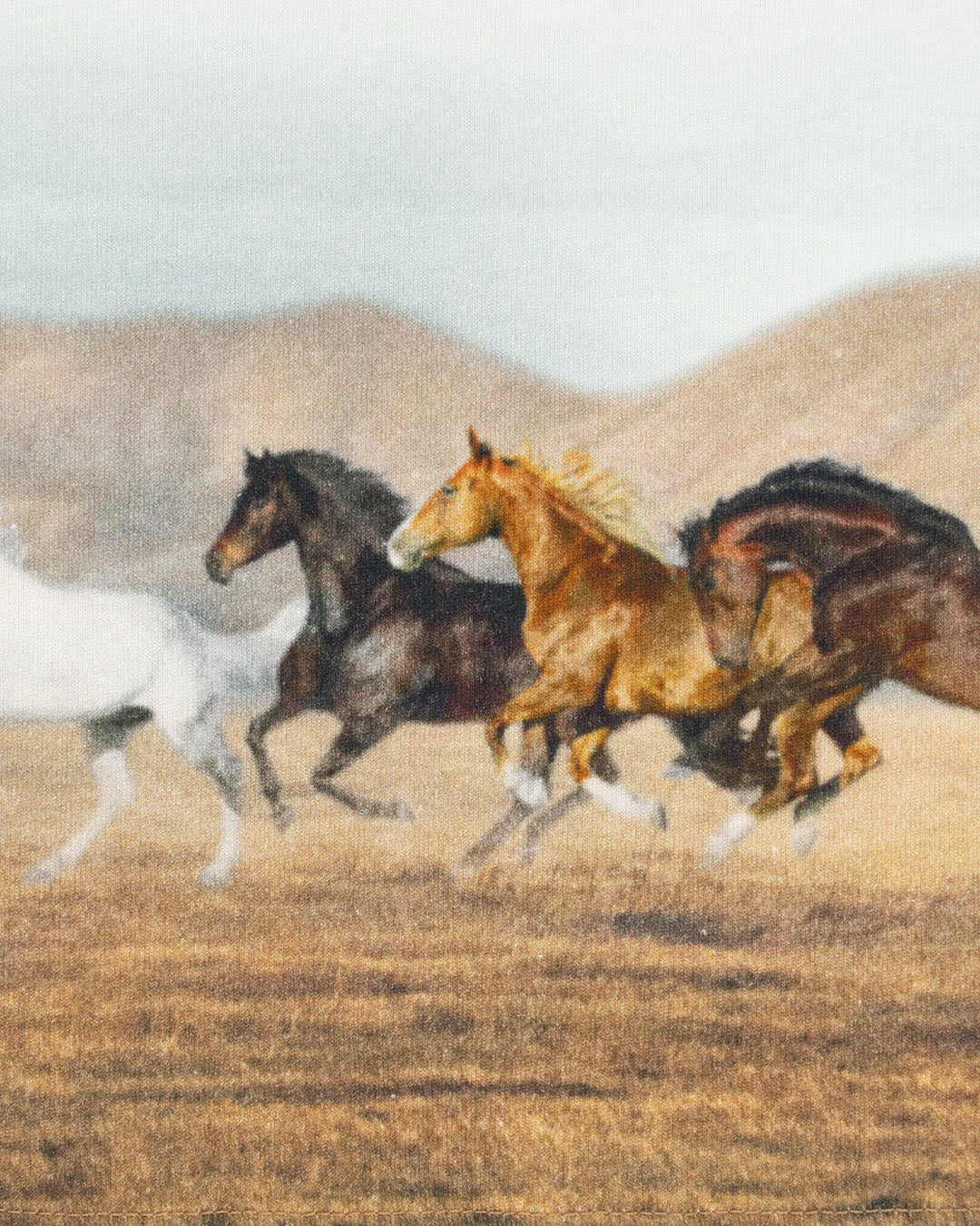 T-shirt manica lunga con cavalli selvaggi MAYORAL