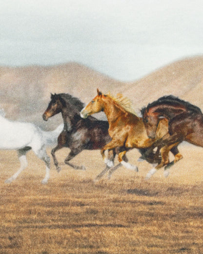 T-shirt manica lunga con cavalli selvaggi MAYORAL