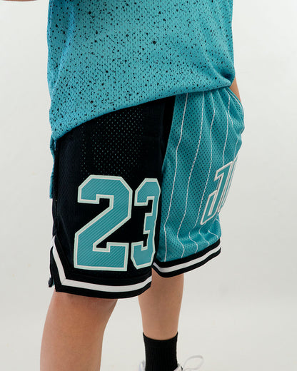 Pantaloncino tipo basket bicolor JORDAN